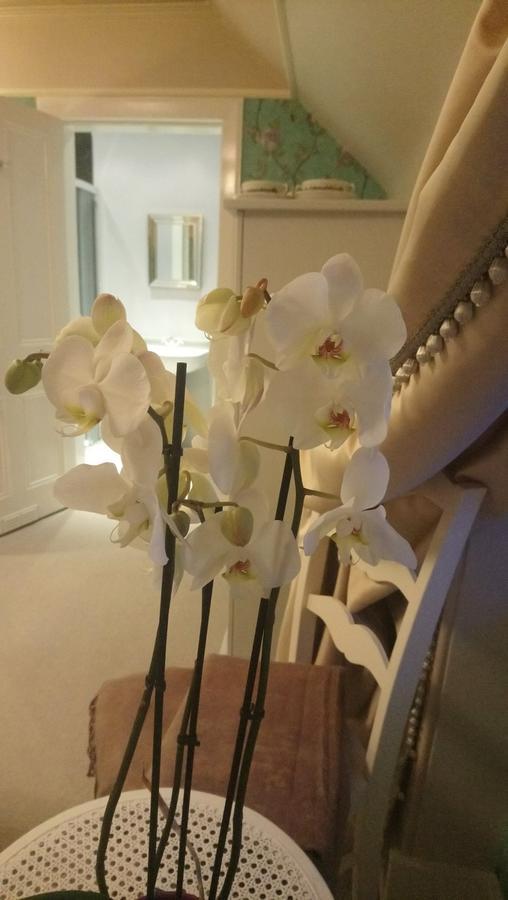 Trinity Boutique B&B Peterhead Εξωτερικό φωτογραφία